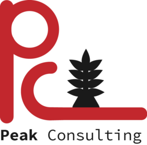 Diseño de Logo por Koop para Peak Consulting | Diseño #7697308