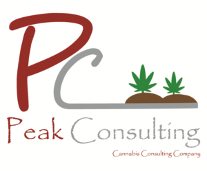 Logo Design by SceneSpotDesign