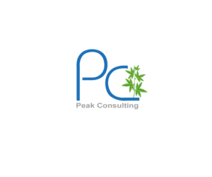 Logo Design by pivotaldesign.biz for Peak Consulting | Design: #7712756