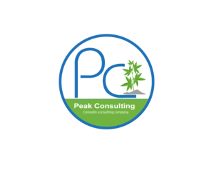 Logo Design by pivotaldesign.biz for Peak Consulting | Design: #7712759