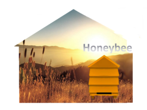 Logo Design by designerone