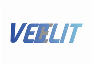 Logo Design by ENJOY/DESTROY