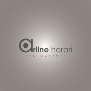 Logo Design by DrazenN