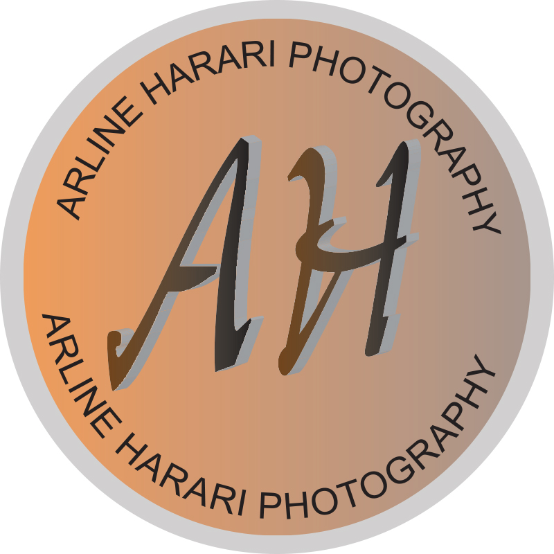 Logo Design by shiran.mt20 for this project | Design #7932812