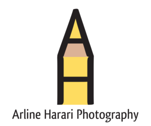 Logo Design by Daniel Harvel Ivano