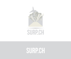 Logo Design by lazdovskis.davis for this project | Design: #7771571