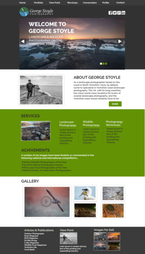 Web Design by Faisal 333