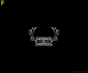 Logo Design by poisonvectors for Pier Punks LLC | Design #7800545
