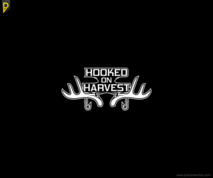 Logo Design by poisonvectors for Pier Punks LLC | Design: #7807887