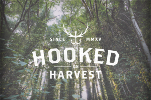 Logo Design by sikamcoy222 for Pier Punks LLC | Design: #7775956