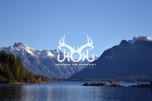 Logo Design by Skwagor for Pier Punks LLC | Design: #7774496