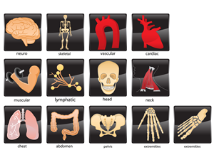 Icon Design by gigibgm