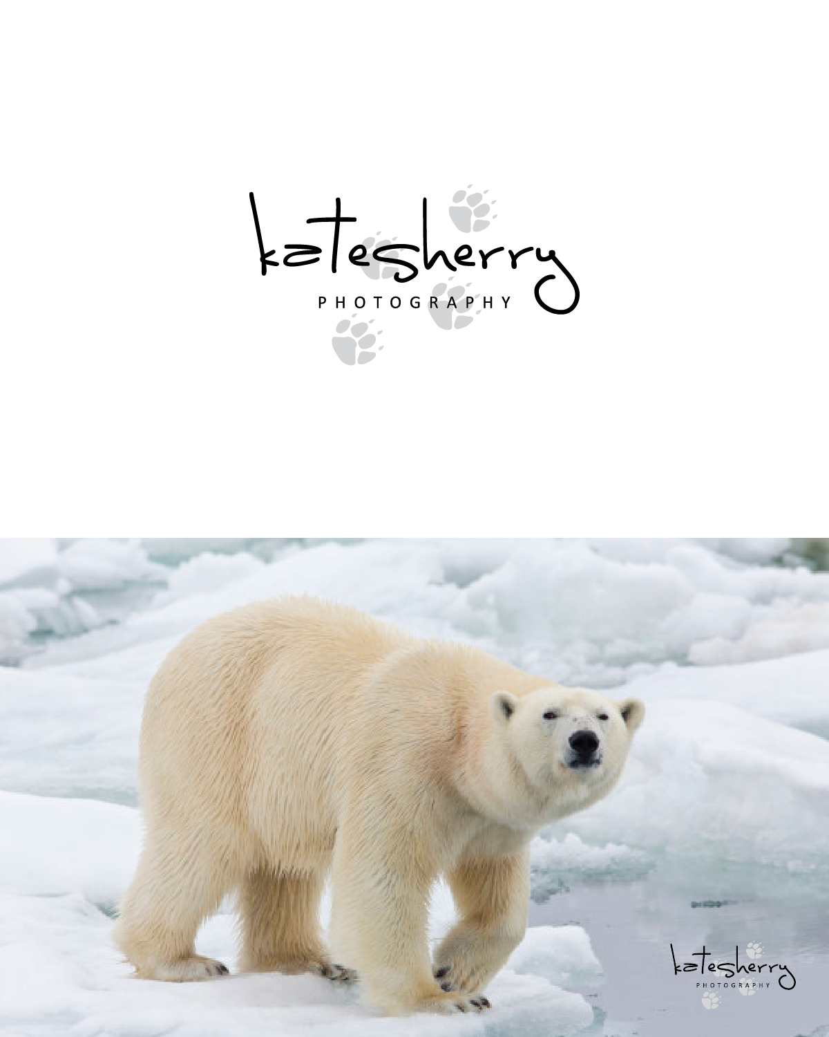 Logo Design by GraphicTec for kate sherry photography | Design #7859749