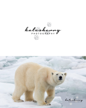 Logo Design by GraphicTec for kate sherry photography | Design: #7859918