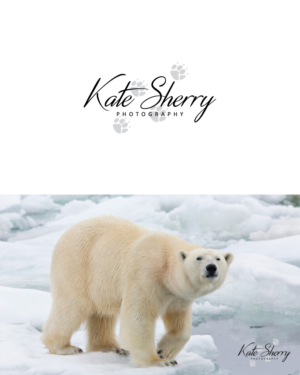 Logo Design by GraphicTec for kate sherry photography | Design: #7859919