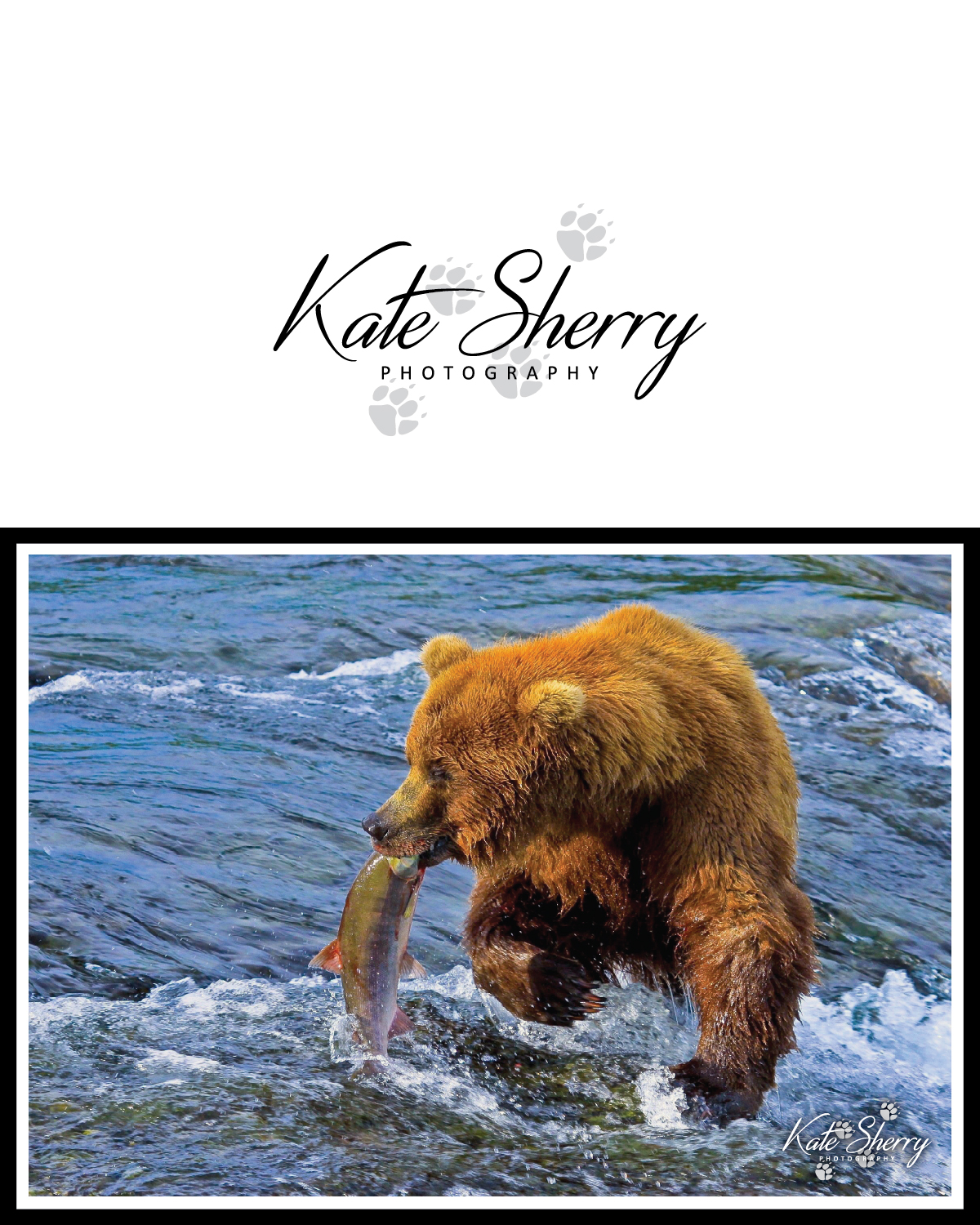 Logo Design by GraphicTec for kate sherry photography | Design #7868453