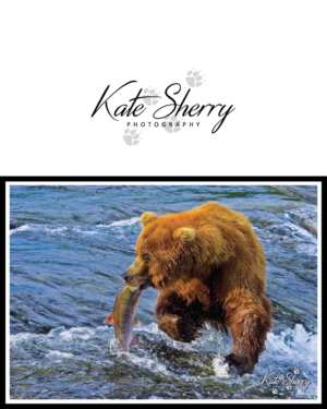 Logo Design by GraphicTec for kate sherry photography | Design: #7868453