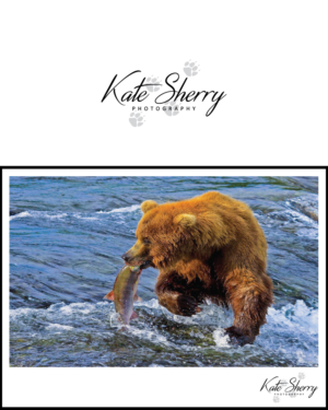 Logo Design by GraphicTec for kate sherry photography | Design: #7889087