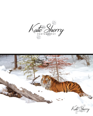 Logo Design by GraphicTec for kate sherry photography | Design #7889088