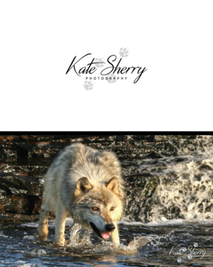 Logo Design by GraphicTec for kate sherry photography | Design: #7896035