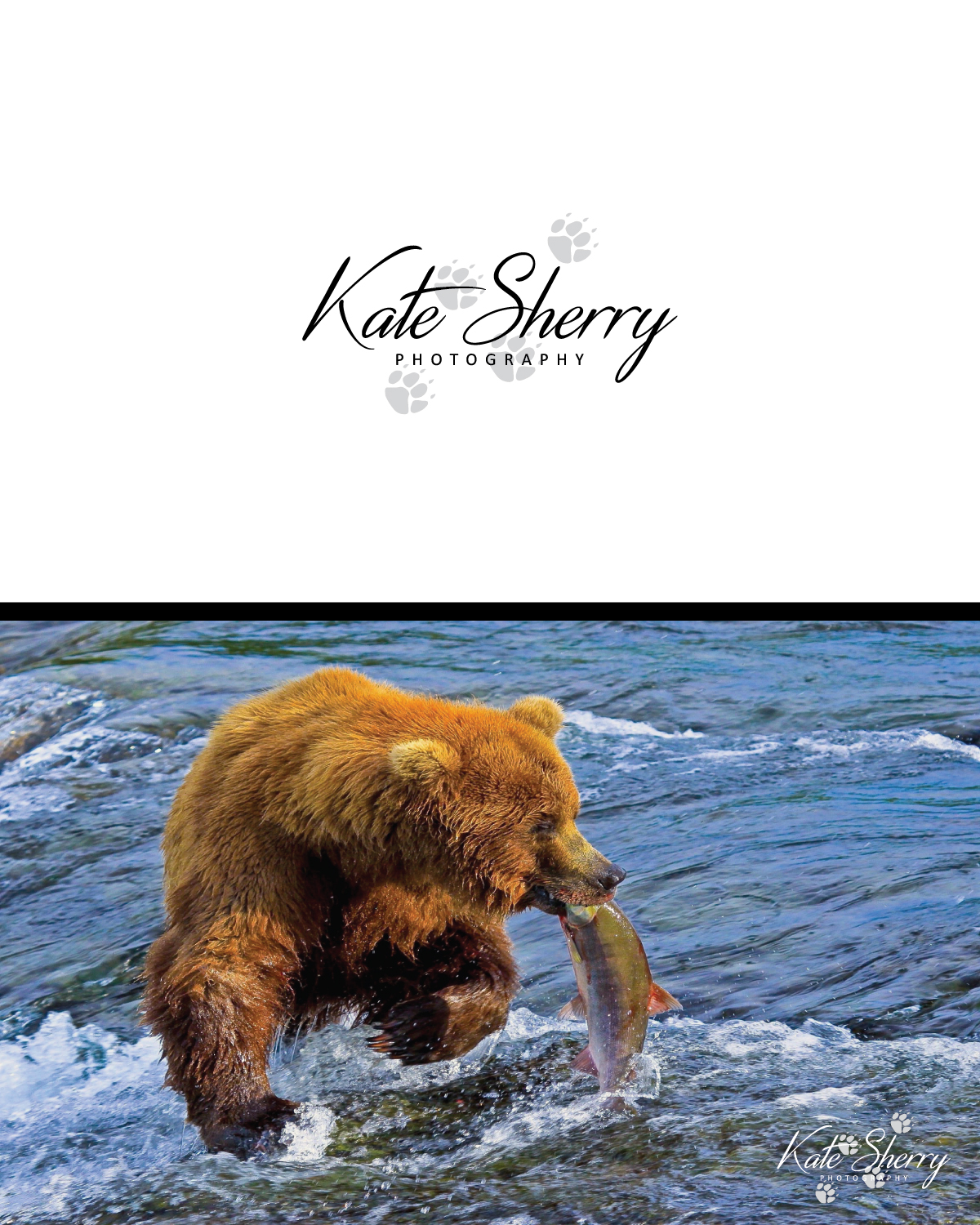 Logo Design by GraphicTec for kate sherry photography | Design #7896036