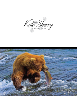 Logo Design by GraphicTec for kate sherry photography | Design: #7896036
