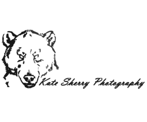 Logo Design by dominikat