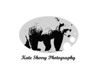 Logo Design by Gaurav for kate sherry photography | Design: #7721247