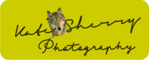 Logo Design by sanghvizankhana for kate sherry photography | Design: #7725605