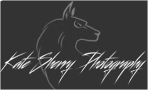 Logo Design by sanghvizankhana