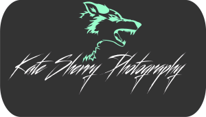 Logo Design by sanghvizankhana for kate sherry photography | Design: #7737872