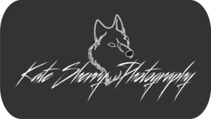 Logo Design by sanghvizankhana for kate sherry photography | Design: #7744128