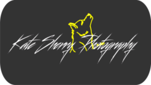 Logo Design by sanghvizankhana for kate sherry photography | Design: #7744129
