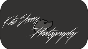 Logo Design by sanghvizankhana for kate sherry photography | Design: #7752180