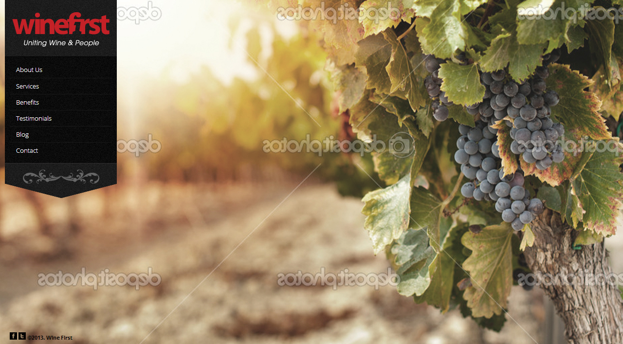 Web Design by MIND for Wine First | Design #2067915