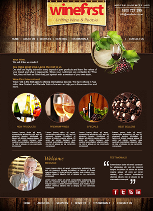 Web Design by noelopan1955