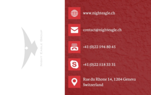 Visitenkarten-Design von Himanshi10 für Night Eagle Group | Design: #7712861