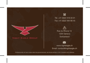 Visitenkarten-Design von quiandrose für Night Eagle Group | Design: #7708538