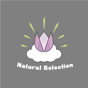 Logo Design by Koop