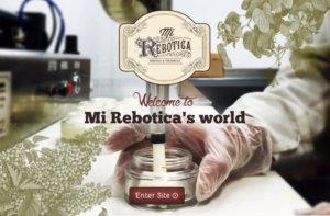 Web Design by RupalTechno for LAboratorio de formulaciones avanzadas sl | Design: #7742894