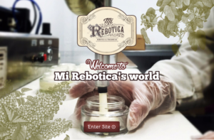 Web Design by RupalTechno for LAboratorio de formulaciones avanzadas sl | Design: #7742897
