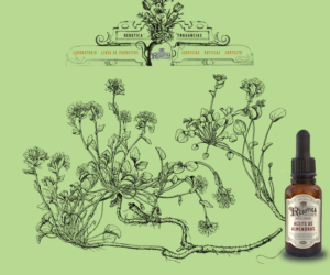 Web Design by WholeBranding® for LAboratorio de formulaciones avanzadas sl | Design: #7765842