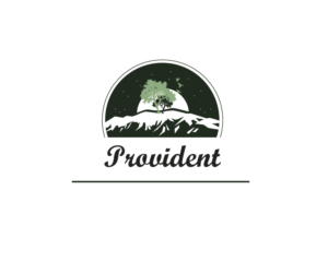 Logo Design by dii for Provident Financial Group | Design: #7797334