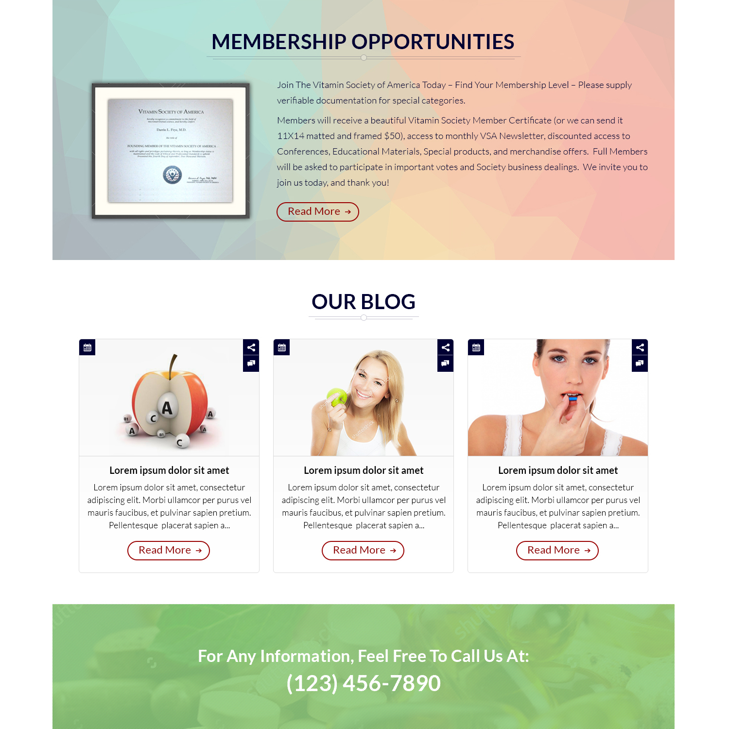 Web Design by Shaurya Arts for this project | Design #7843583