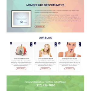 Web Design by Shaurya Arts