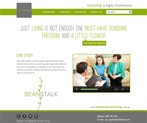 Web Design by iconic