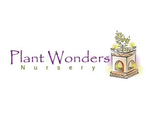 Logo Design by blue eye