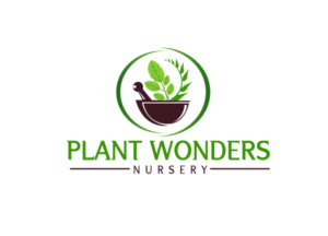 Logo Design by creative.bugs