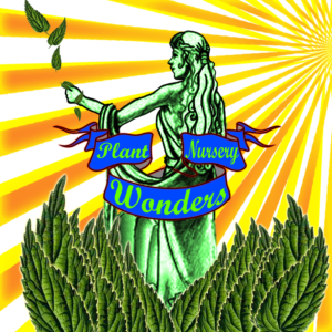 Logo Design by steve_rheza