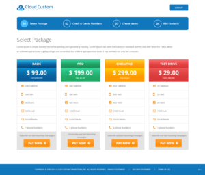 Web Design by pb for Cloud Custom Solutions | Design: #7747646